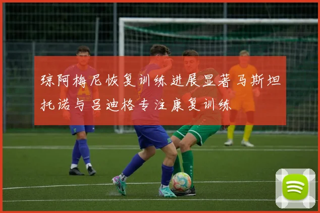 琼阿梅尼恢复训练进展显著马斯坦托诺与吕迪格专注康复训练