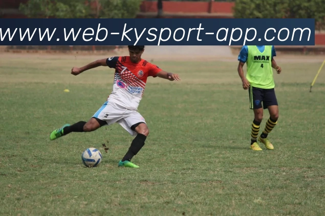 开云体育平台生态图