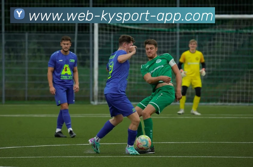 开云体育APP 封面图